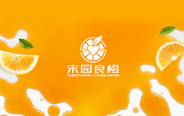 某良橙——永州LOGO设计